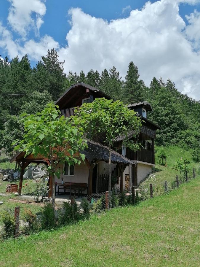 Vikendica Moonlight Villa Zaovine Ngoại thất bức ảnh